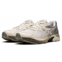 Кроссовки Asics Dime x GT 2160 Arctic Wolf
