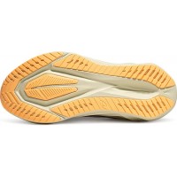 Asics Novablast 5 Mineral Beige